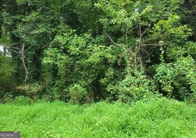 Lots & Land-Other in Ellenwood - Ellenwood, Georgia, 30294