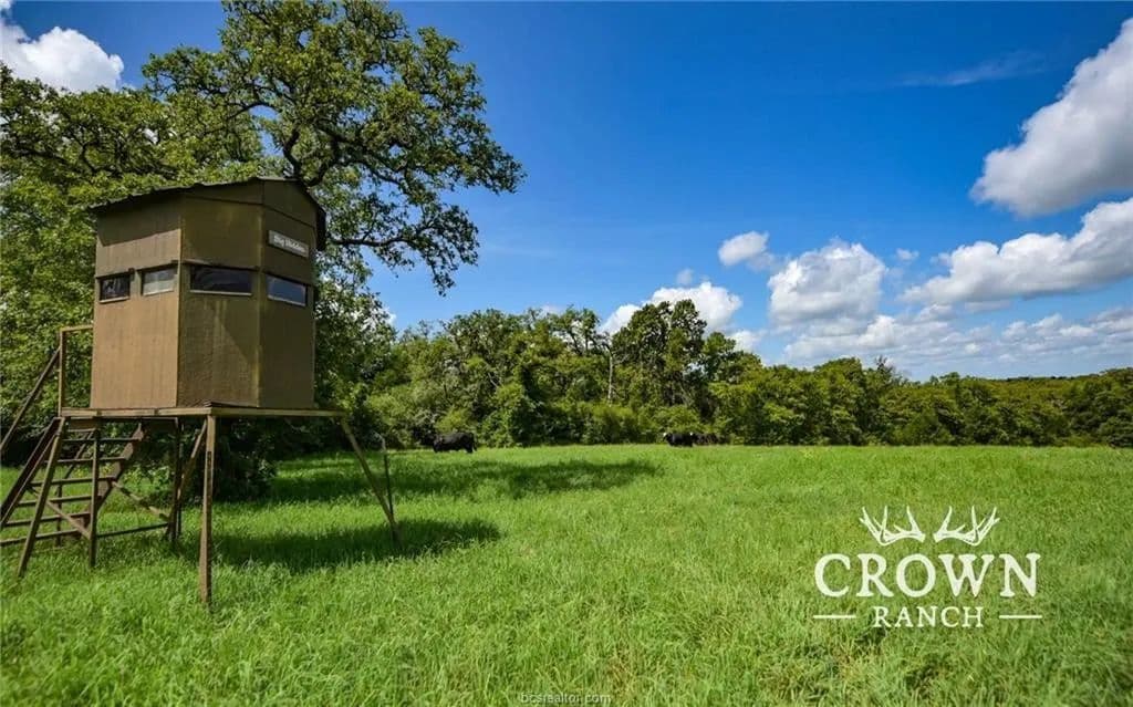 1057 Acres of Land for Sale in Caldwell, Texas - Caldwell, Texas, 77836