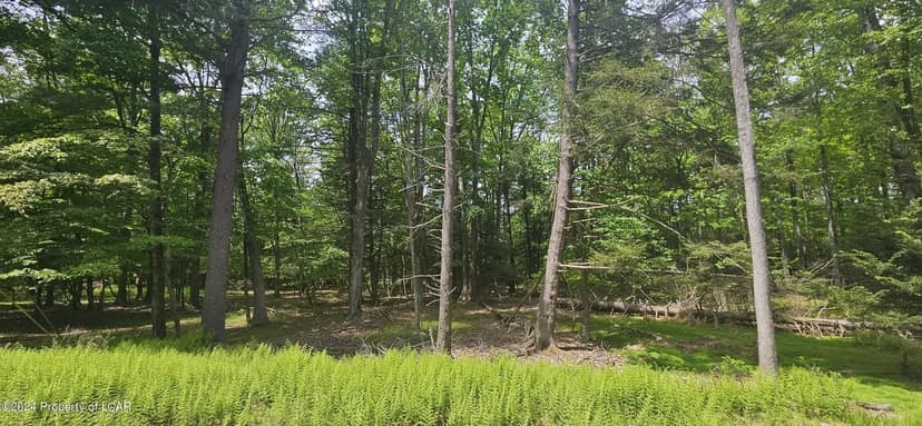 Lots & Land-Other in Hazleton