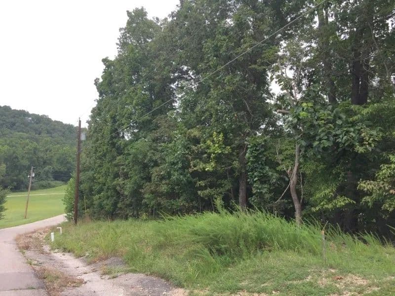 Land -Agricultural (Not Zoned) in Camdenton - Camdenton, Missouri, 65020