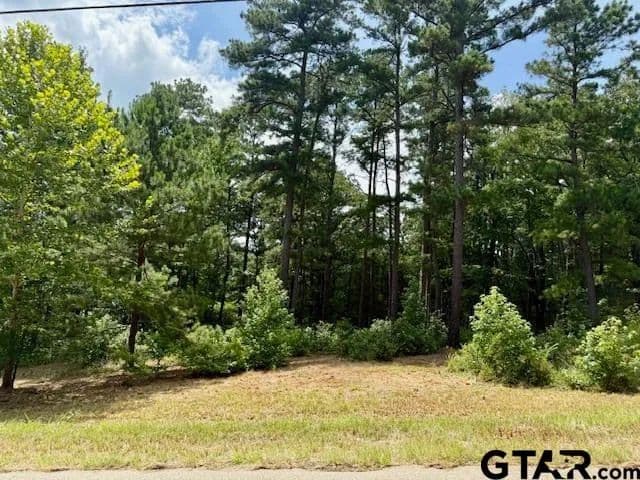 Land -Single Family Acreage in Lindale - Lindale, Texas, 75771