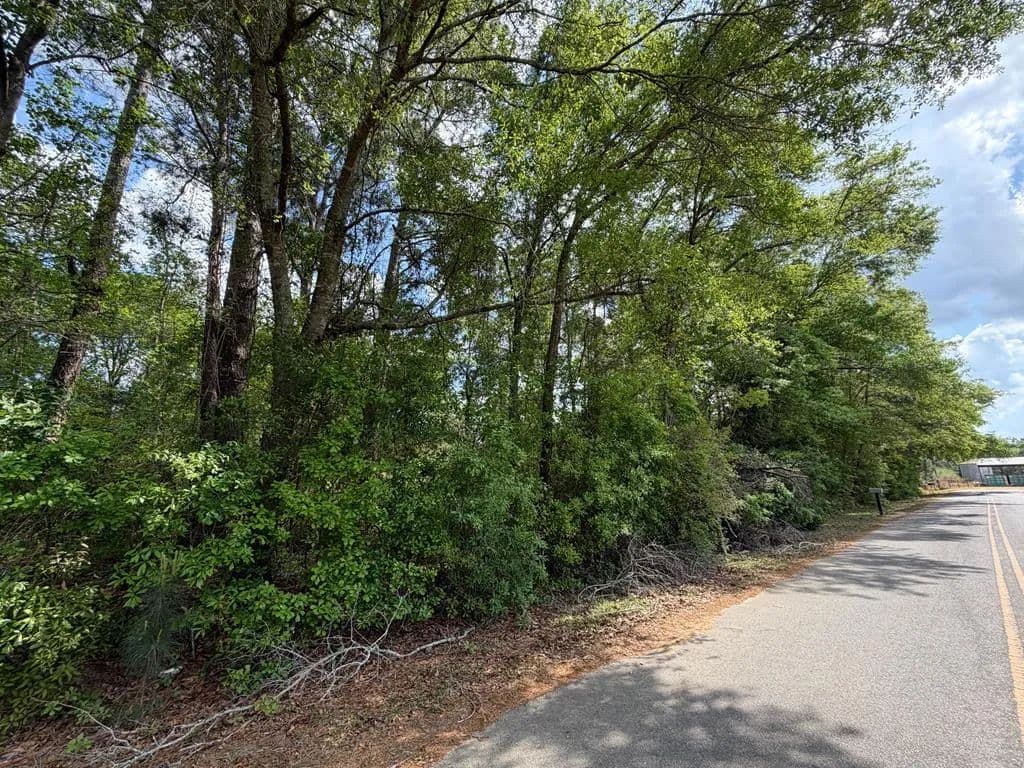 Lots & Land-Other in Rebecca - Rebecca, Georgia, 31783