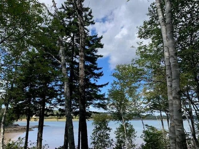 Lots & Land-Other in Machiasport - Machiasport, Maine, 04655