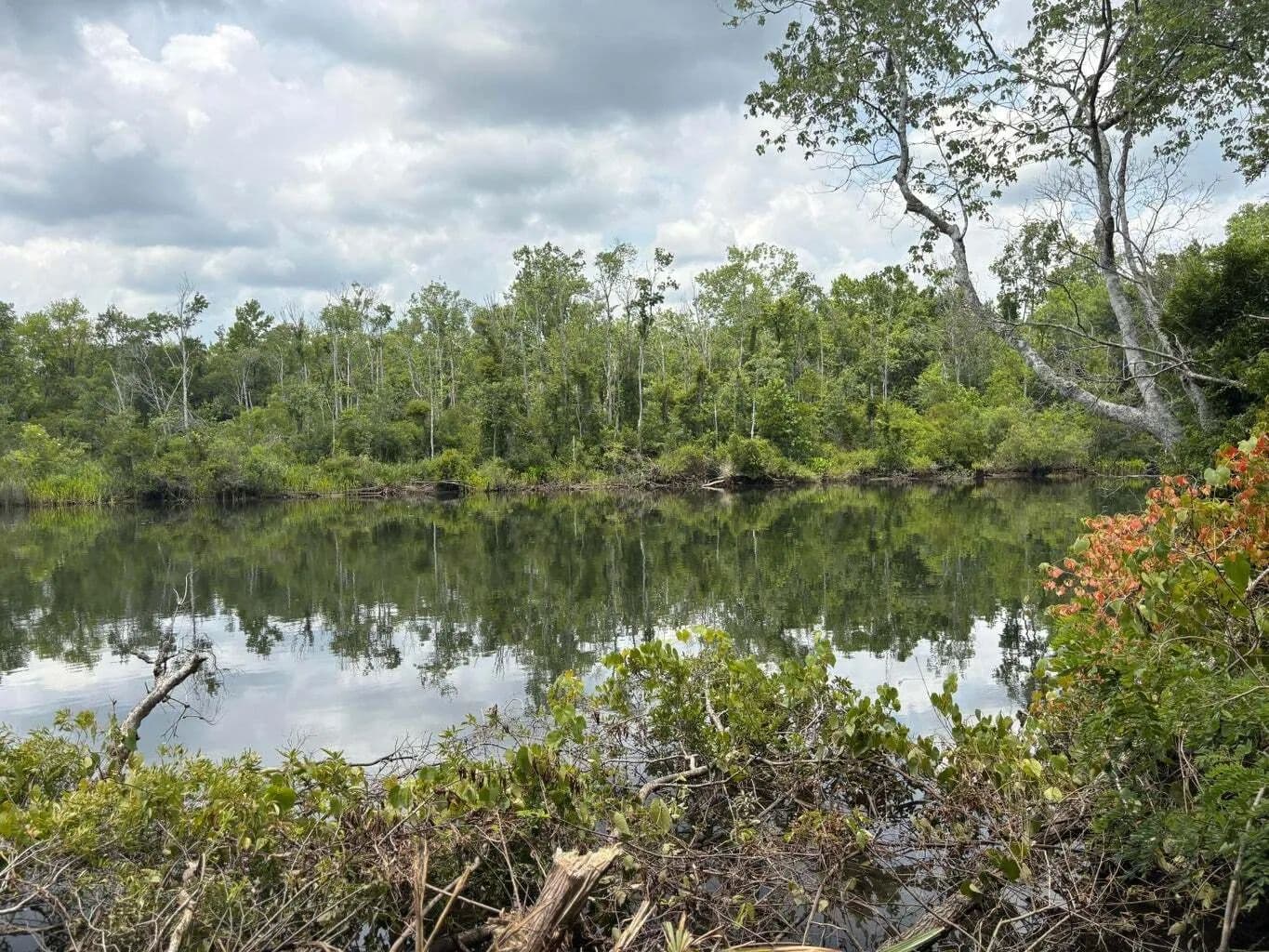 Vacant Land in Moncks Corner - Moncks Corner, South Carolina, 29461
