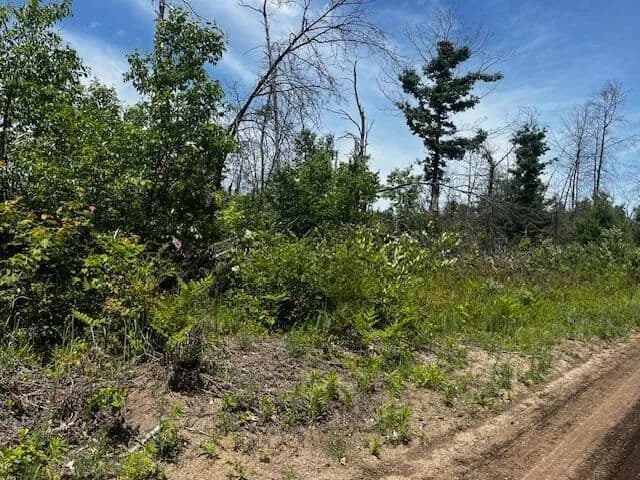 Property from Parcel 3 Nelson - KW - Idlewild, Michigan, 49642