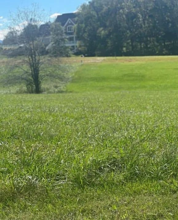 Vacant Land in North Wilkesboro - North Wilkesboro, North Carolina, 28659