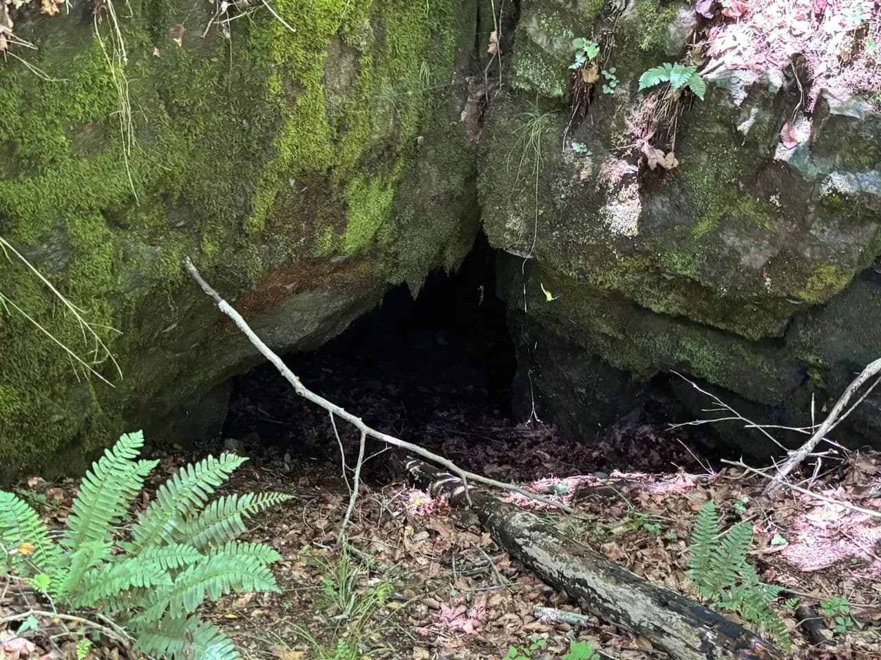 Blowing Springs Road - Waynesboro, Tennessee, 38485