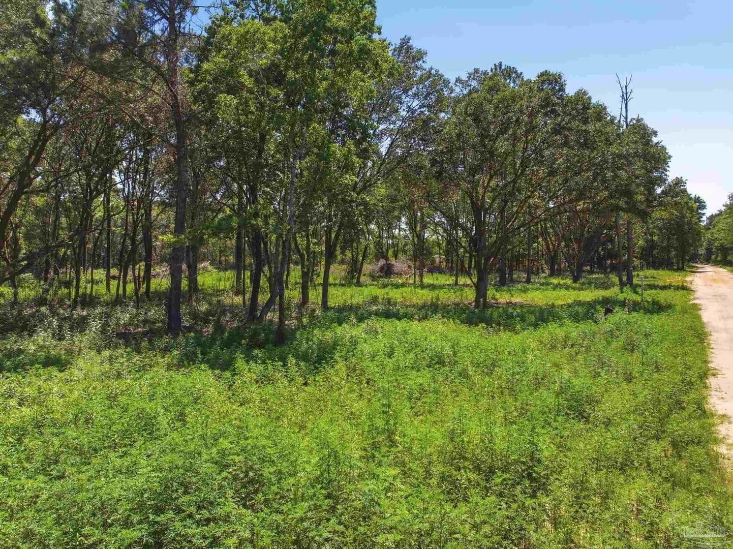 Property from 5228 Josacs Tr - KW - Milton, Florida, 32583