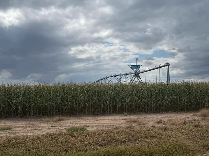 Texas County Irrigated Farm