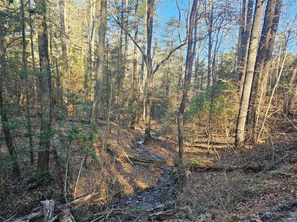 Land -Single Family Acreage in Ellijay - Ellijay, Georgia, 30540