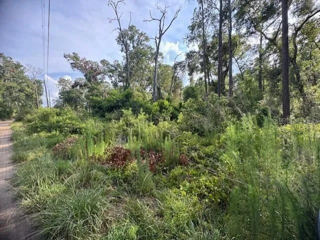 Lots & Land-Other in WEBSTER