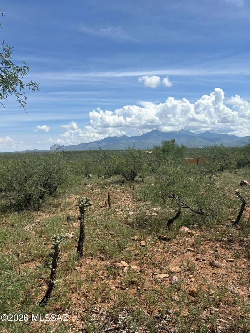 Vacant Land in Rio Rico - Rio Rico, Arizona, 85648