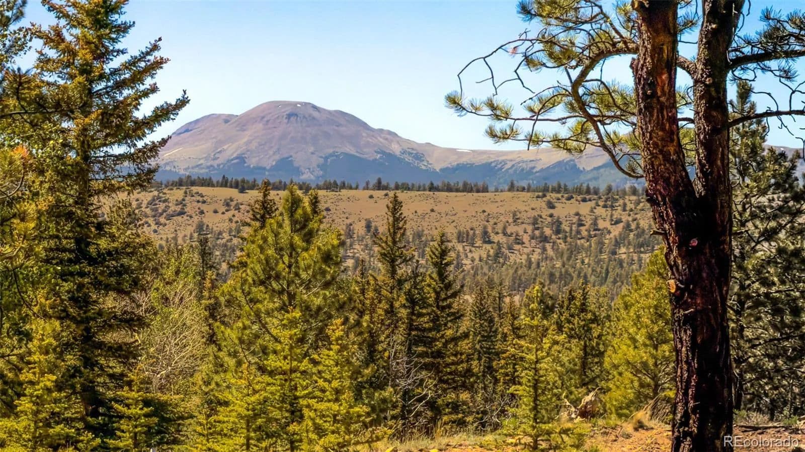 2.5 Acres of Land for Sale in Buena Vista, CO - Buena Vista, Colorado, 81211