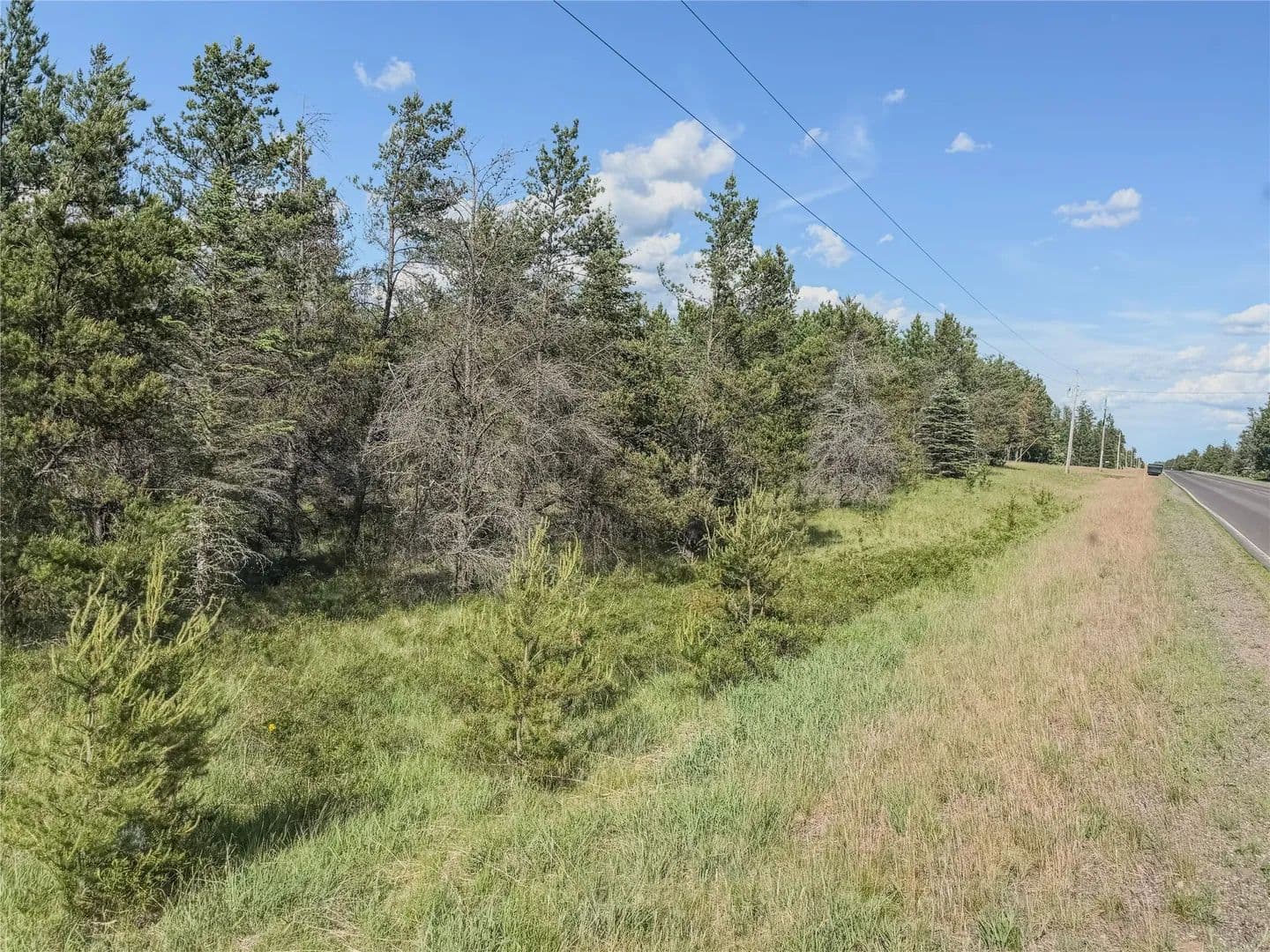 20 Acres of Land for Sale in Gordon, WI - Gordon, Wisconsin, 54838
