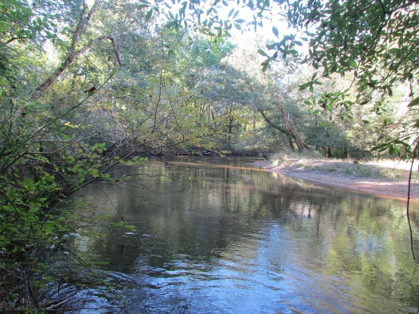 McDowell-Lynches River Tract