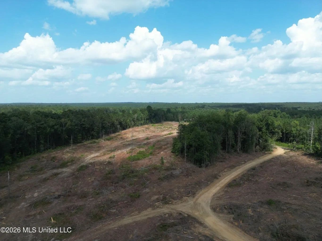   35 Acres of Clear-Cut Land in Lincoln County - Bogue Chitto, Mississippi, 39662