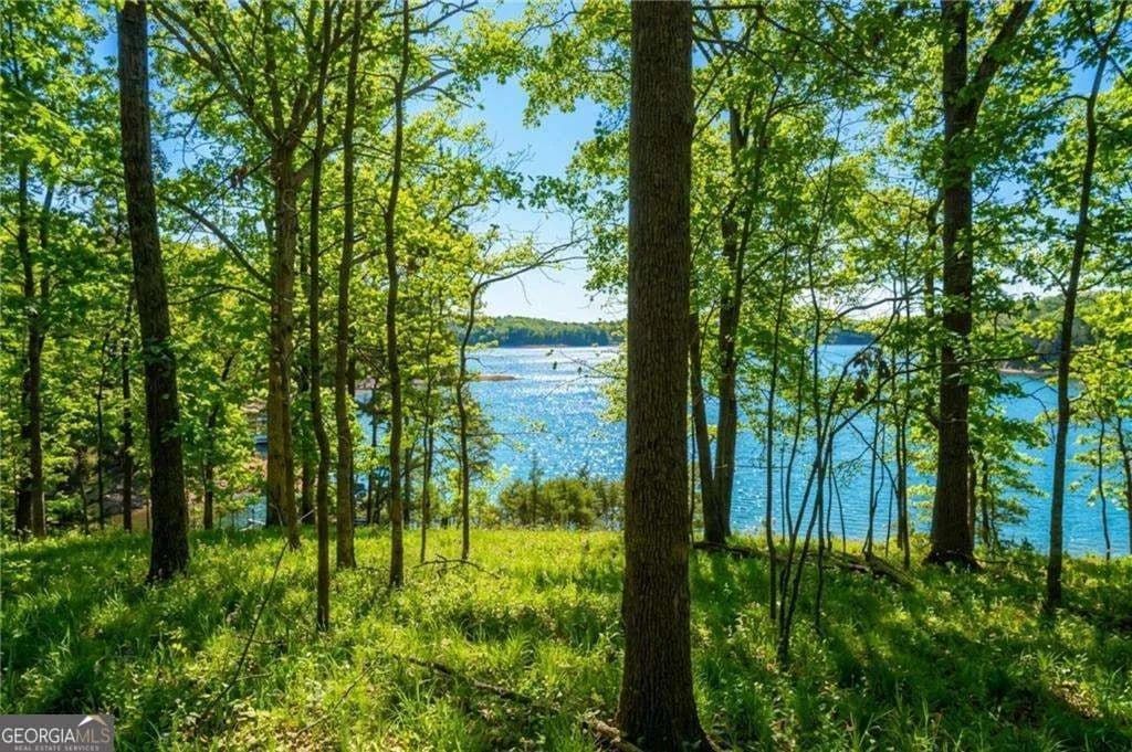 0.85 Acres of Land for Sale in Gainesville, GA - Gainesville, Georgia, 30504