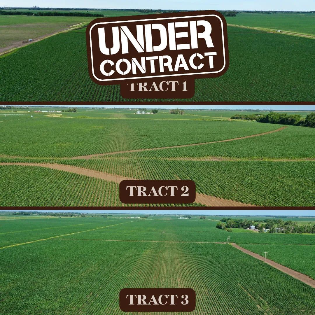Irrigated Farms for Sale | 153 Acres in 3 Tracts in Merrick County, NE - Clarks, Nebraska, 68628