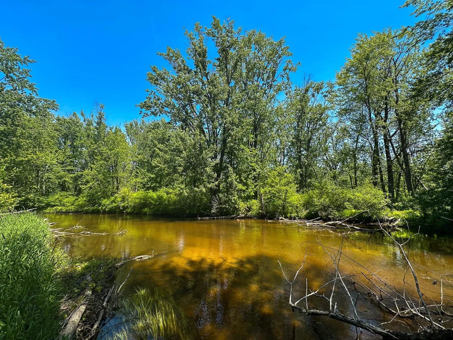 44.46 Acres of Land for Sale in Custer, Michigan - Custer, Michigan, 49405