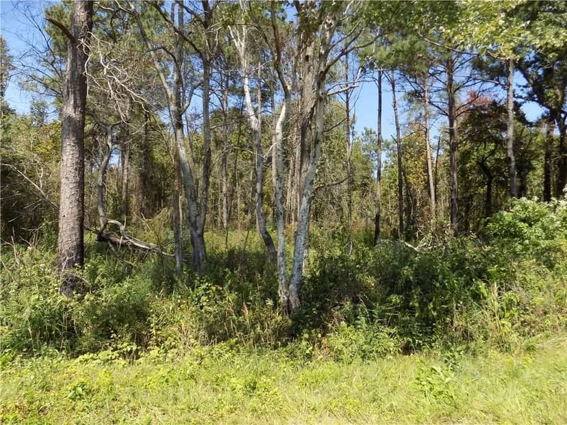 Property from Lot 5 Macon County Road 24 - KW