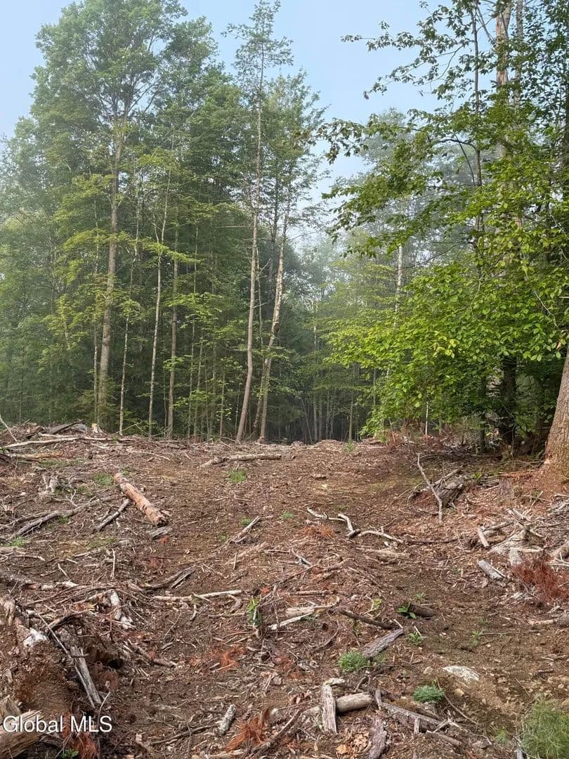 Lots & Land-Other in Bolton - Bolton, New York, 12824