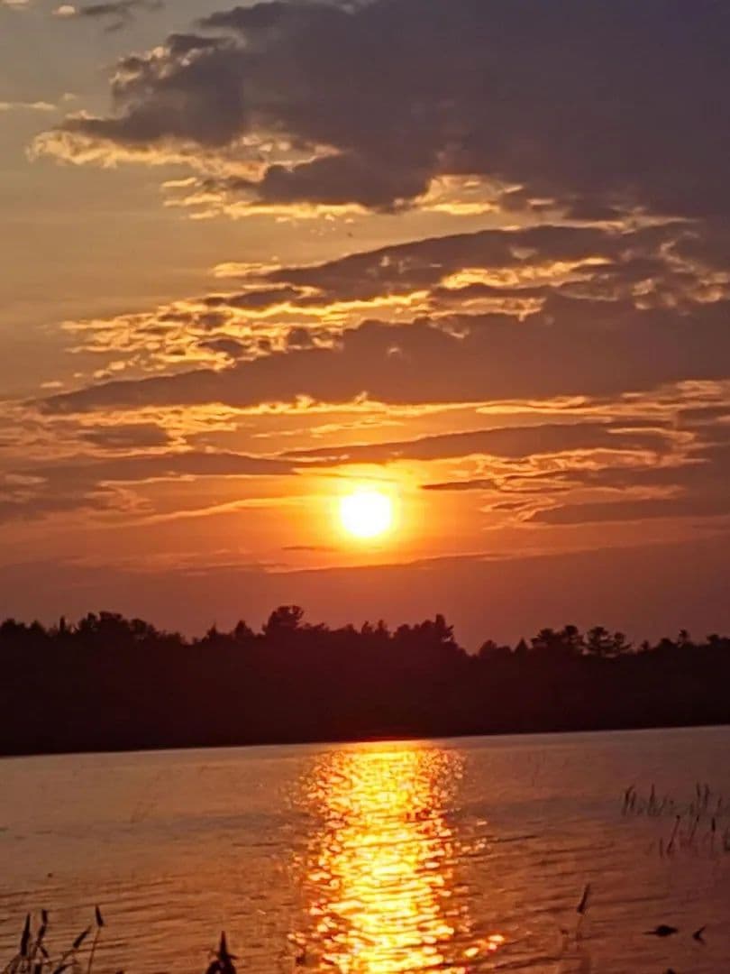 Land -Single Family Acreage in Wesley - Wesley, Maine, 04686
