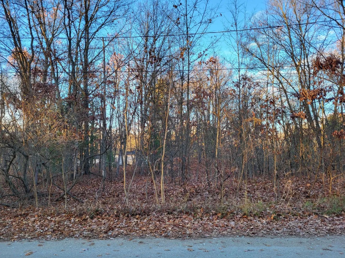 Vacant Land in Muskegon - Muskegon, Michigan, 49445