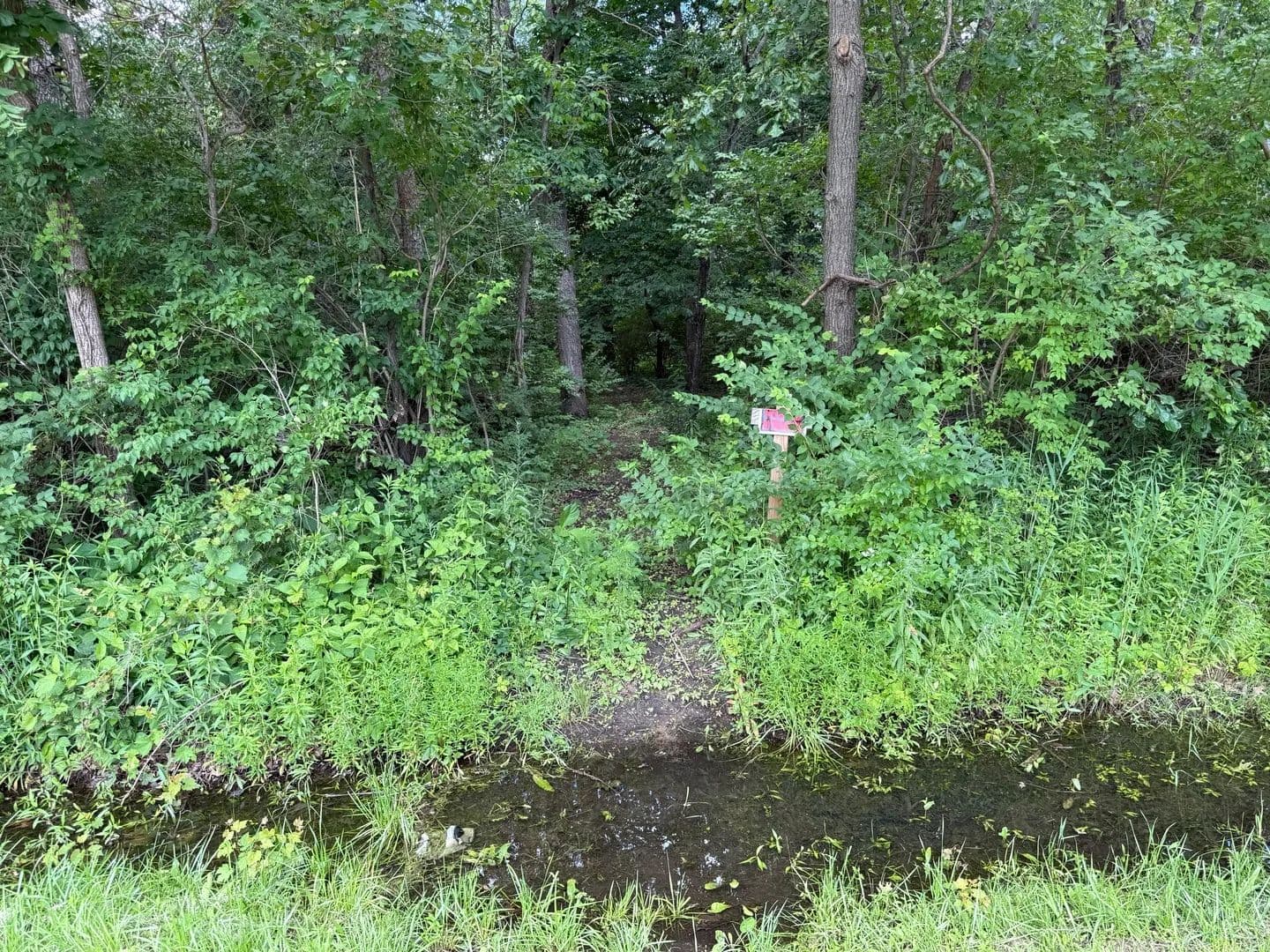 Property from 35841 S Jay Drive - KW - Custer Park, Illinois, 60481