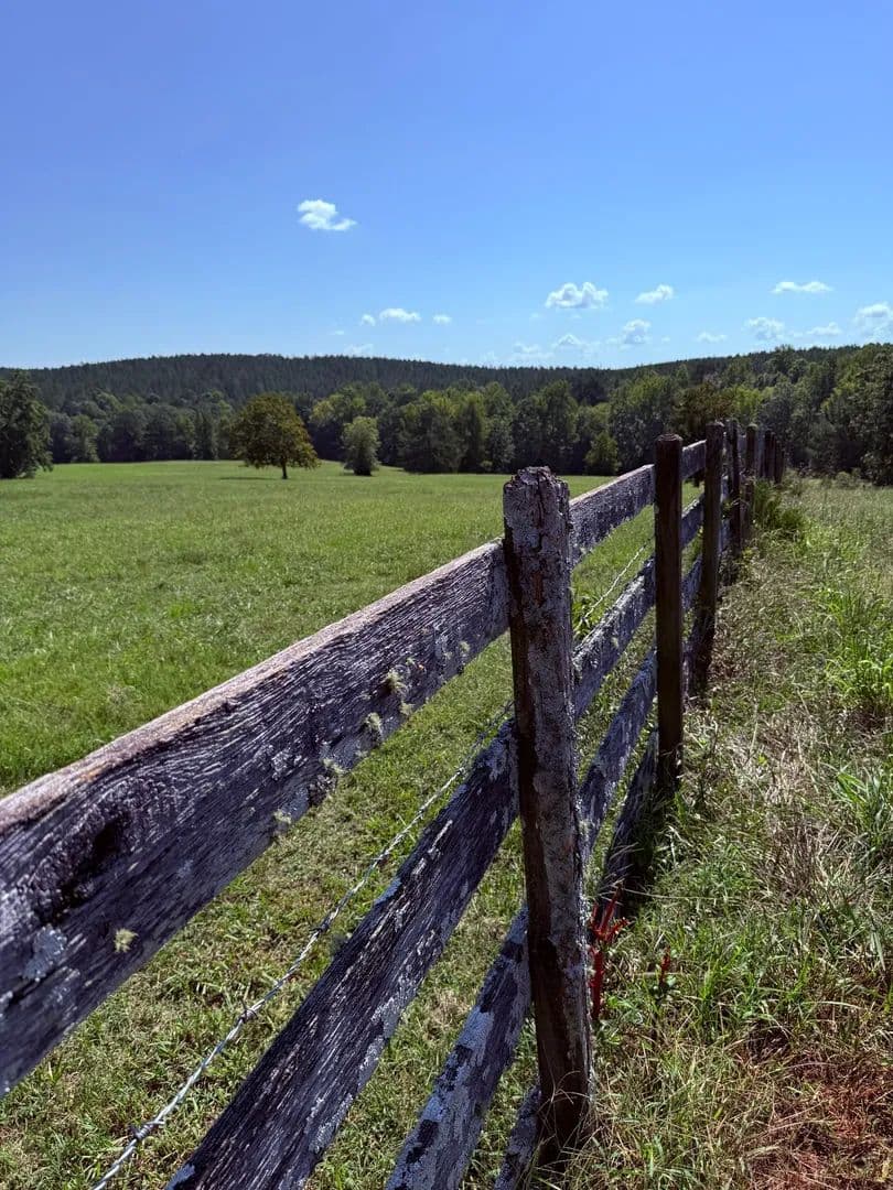 Sunrise Farm - 240 Acres - Wilkes County, GA - Washington, Georgia, 30673