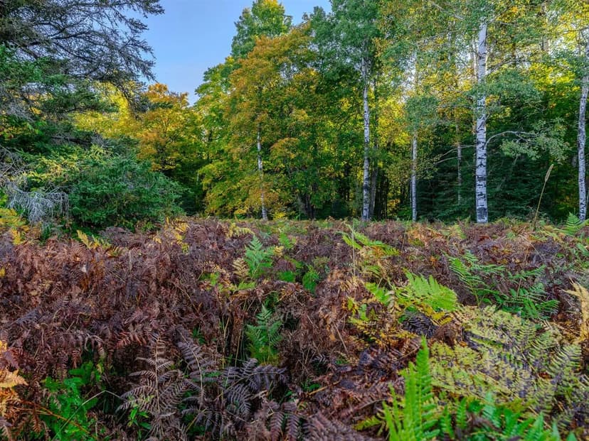 Property from Lot 1 E 22 Mile Rd - KW