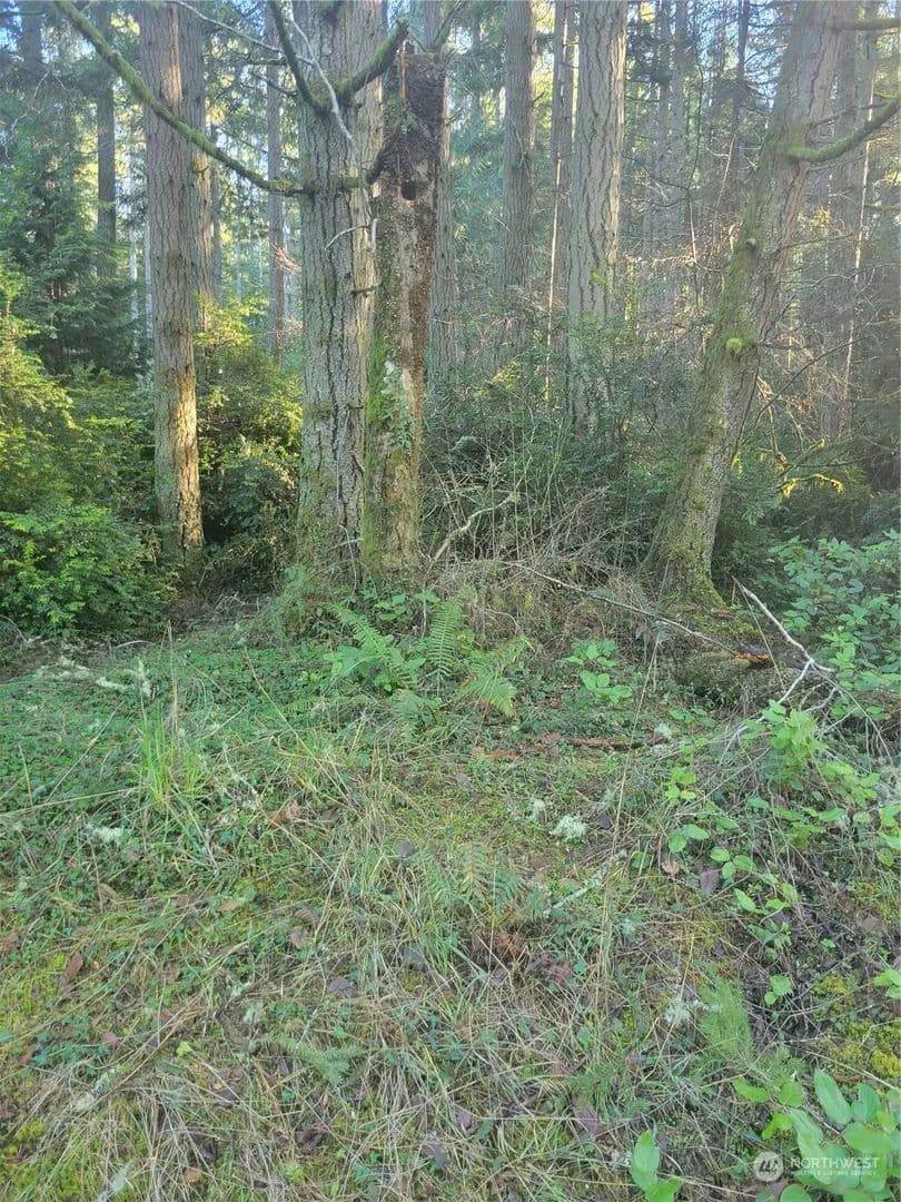 Vacant Land in Anderson Island