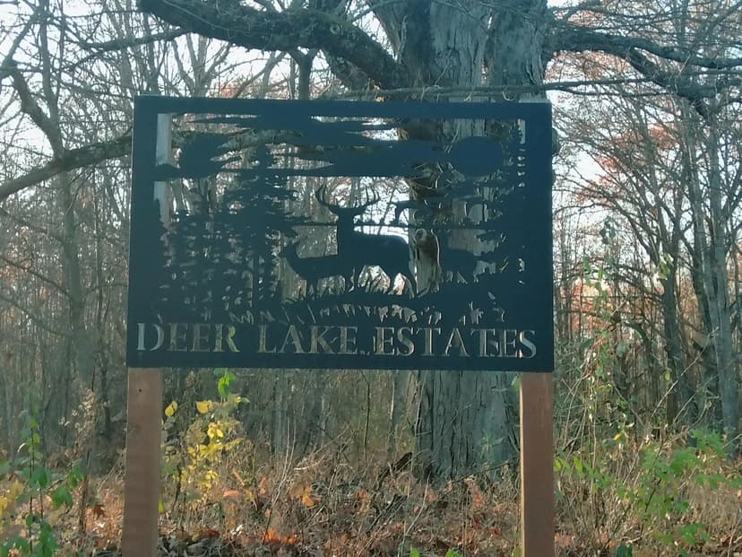 Vacant Land (10+ Acres) in Reed City