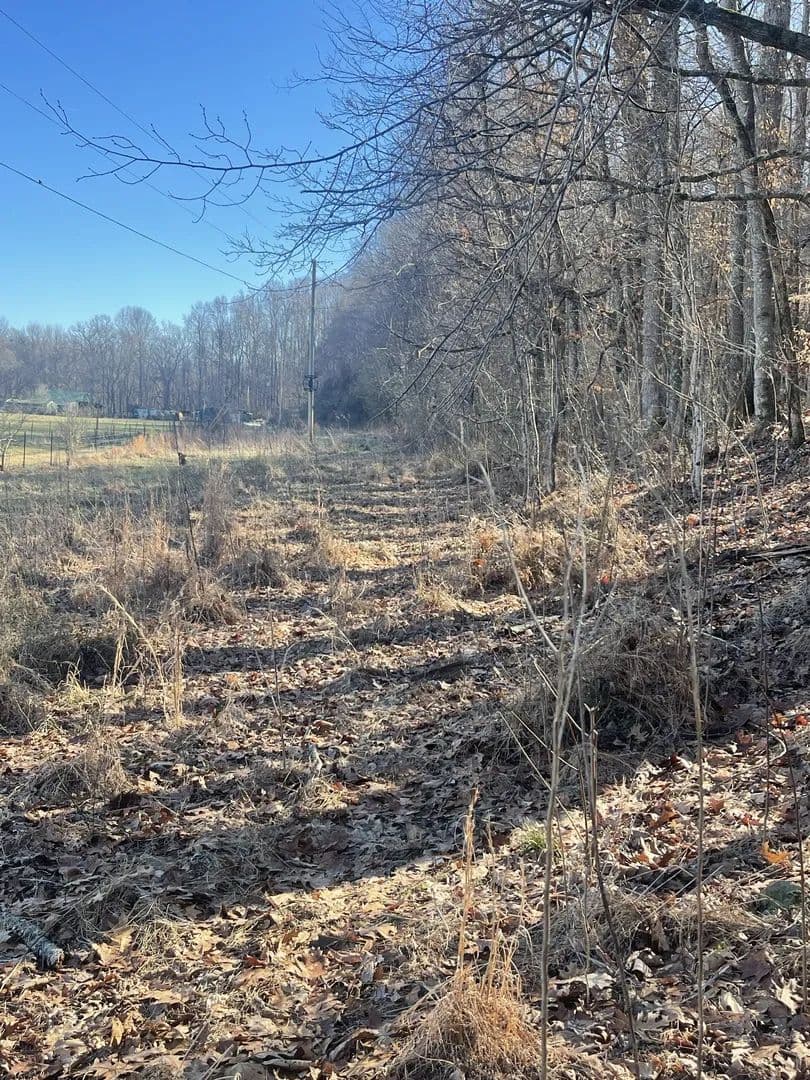 Land -Single Family Acreage in Springfield