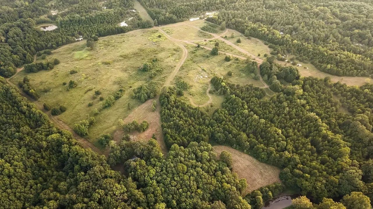 Line Creek Bluff 385 +/- Acres - Starkville, Mississippi, 39759