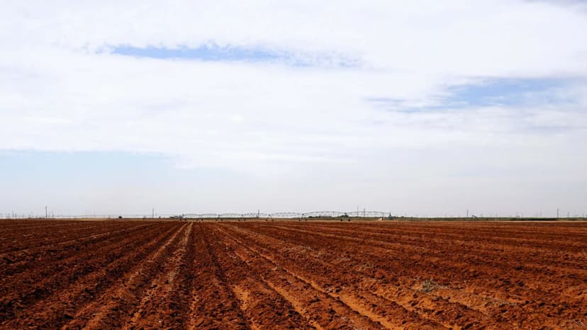 Productive 160± Acre Irrigated Farm in Yoakum County