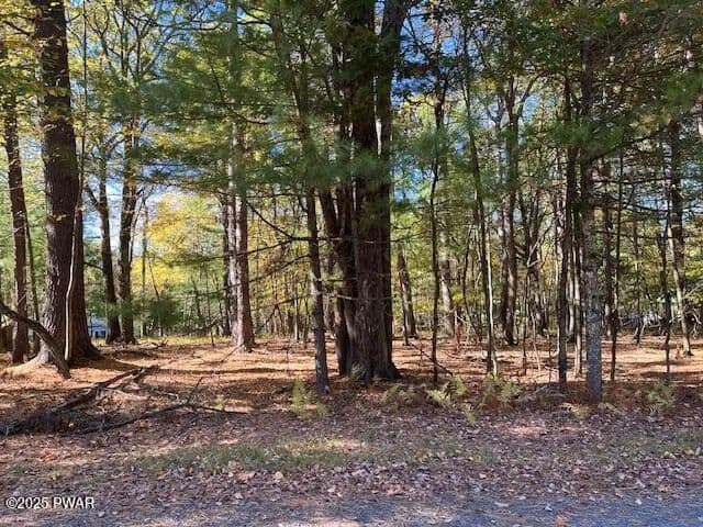 Vacant Land in Dingmans Ferry - Dingmans Ferry, Pennsylvania, 18328