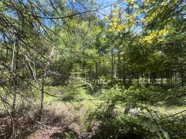 20 Acres of Land for Sale in De Tour Village, Michigan - De Tour Village, Michigan, 49725