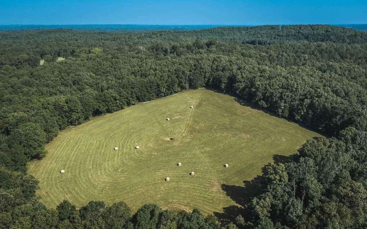 Spring Rock Guitar Field - Norwood, Missouri, 65717