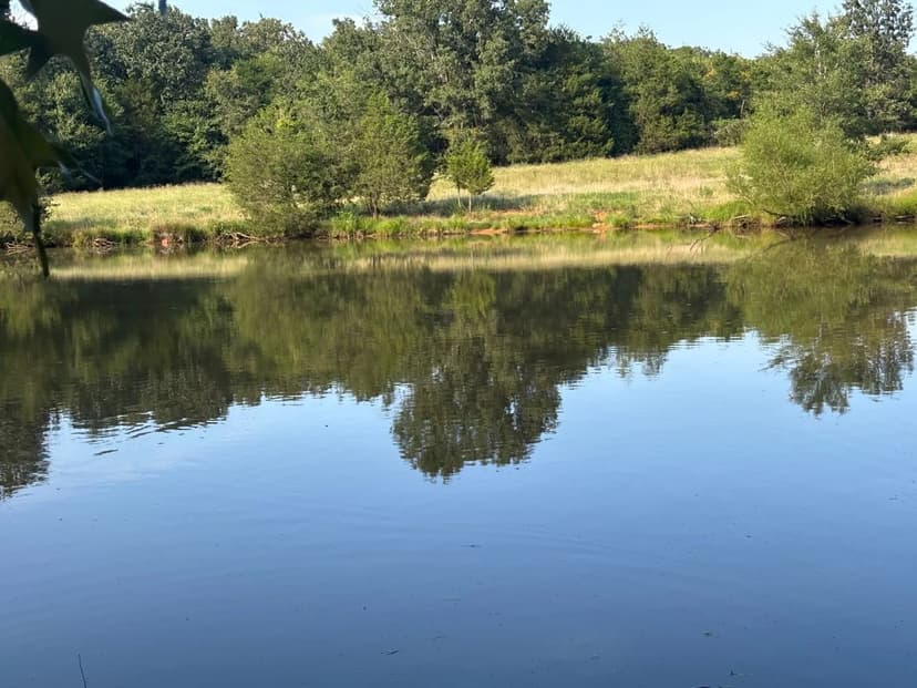 Vacant Land (10+ Acres) in Saffell