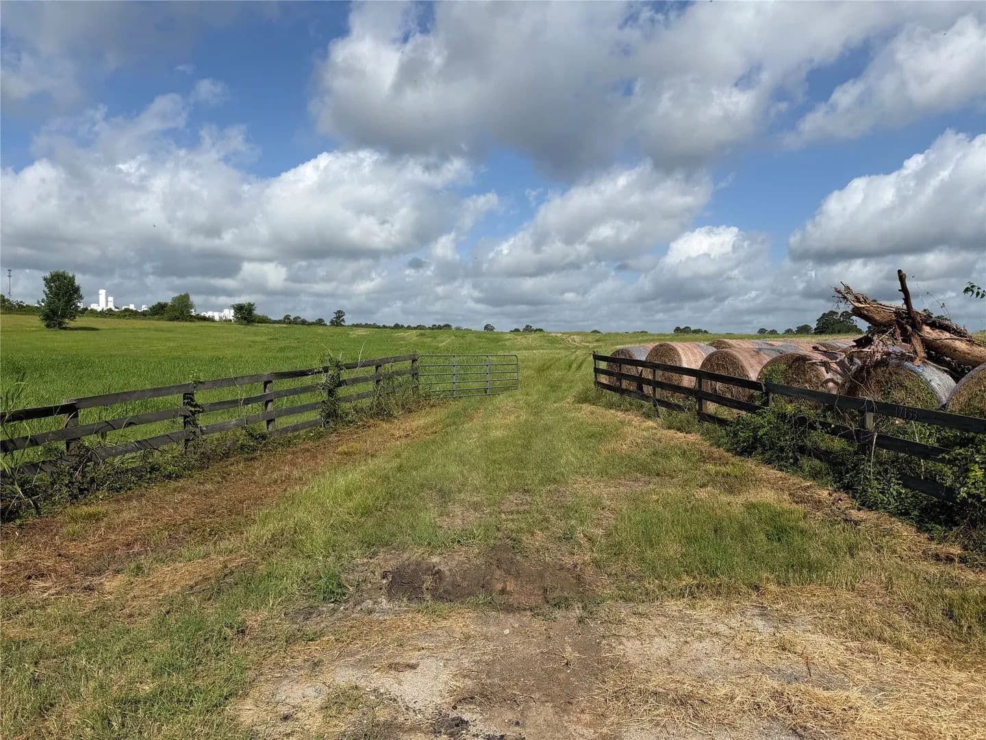 Property from 17133 FM 149 - KW - Montgomery, Texas, 77356
