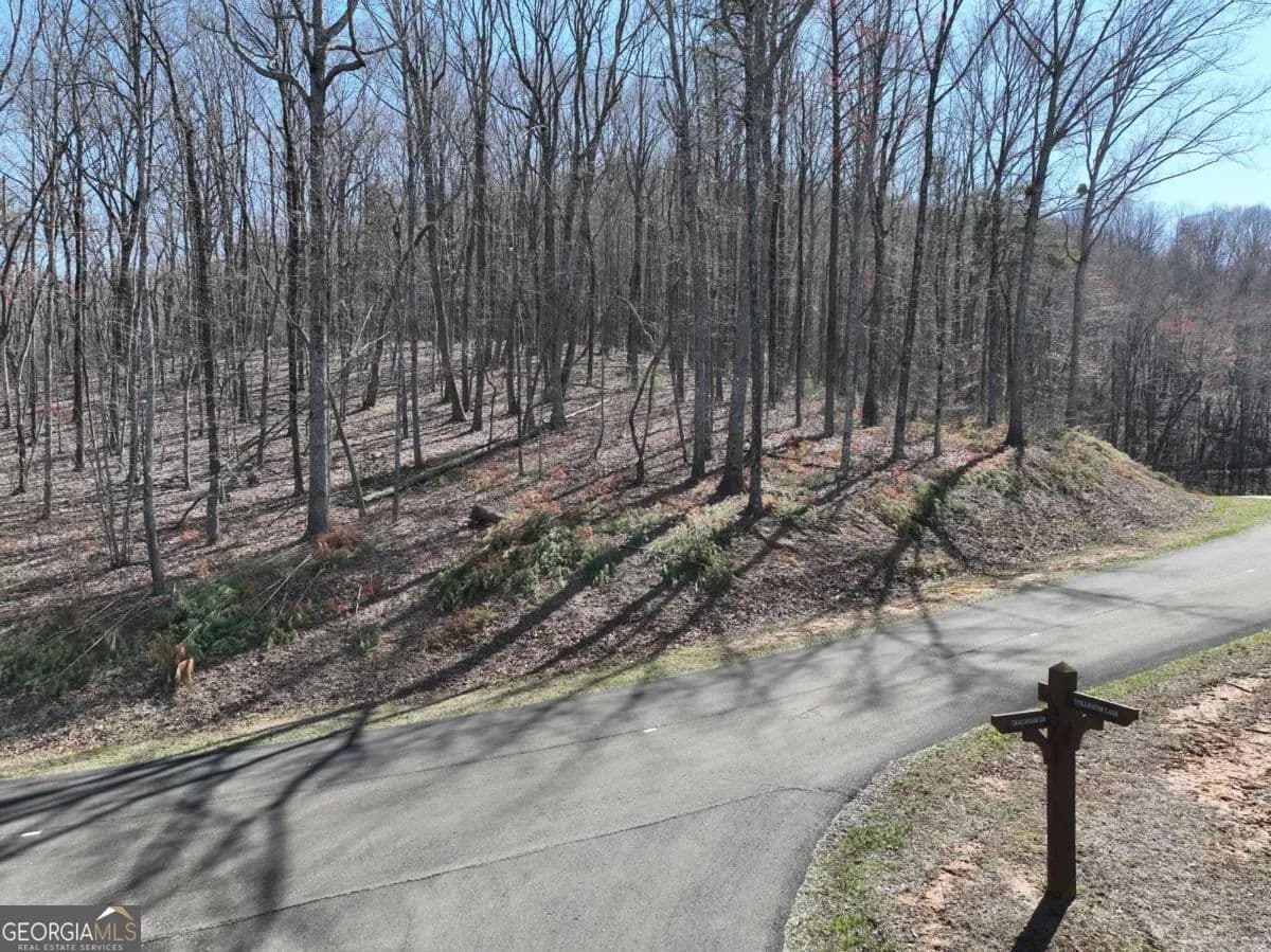 2.55 Acres of Land for Sale in Ellijay, GA - Ellijay, Georgia, 30536
