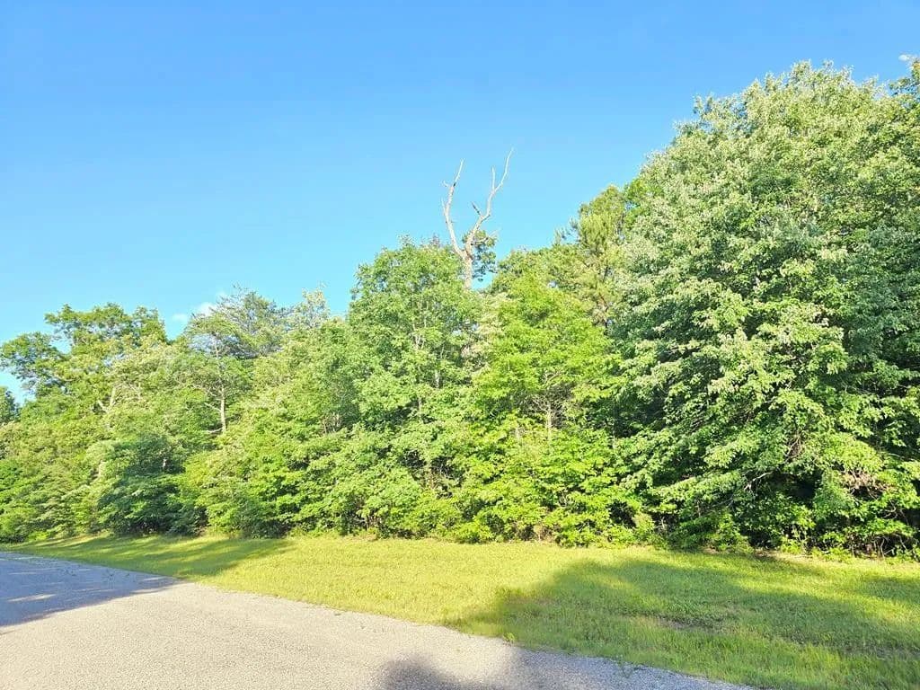 1.01 Acres of Land for Sale in Monterey, TN - Monterey, Tennessee, 38574
