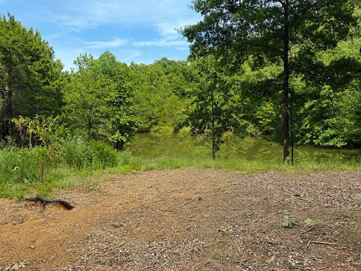 Land -Agricultural (Not Zoned) in Hartman - Hartman, Arkansas, 72840