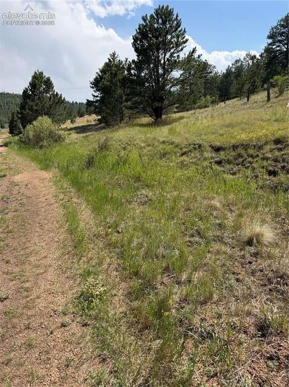 4.08 Acres of Land for Sale in Florissant, CO - land for sale