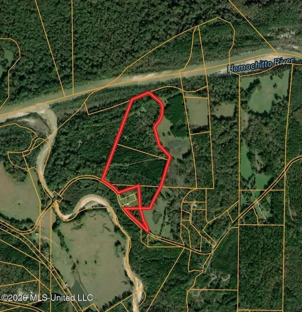 57 Acres Hunting Land for Sale in Gloster MS - Gloster, Mississippi, 39638