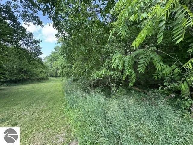 Vacant Land in Stanton - Stanton, Michigan, 48888