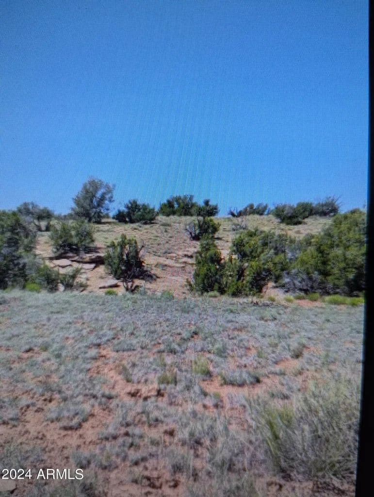 Vacant Land in Concho - land for sale