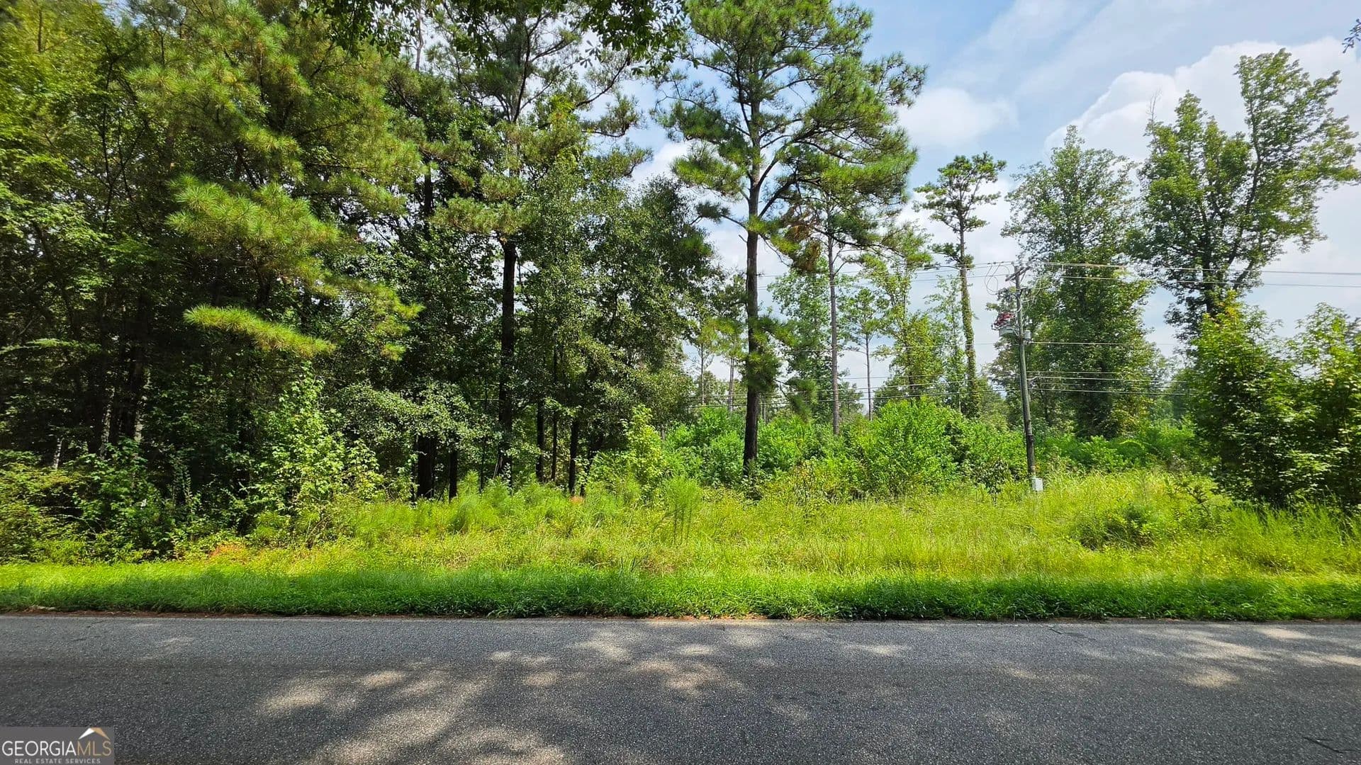 7.31 Acres of Land for Sale in Macon, GA - Macon, Georgia, 31210