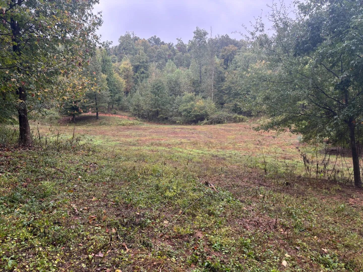 14.92 Acres in Hamilton County, TN - Soddy Daisy, Tennessee, 37379