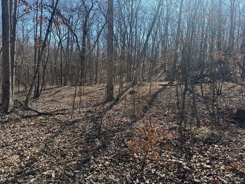 18±-Acre Lot:  Ideal Building Site Near Mark Twain Lake – Ralls County